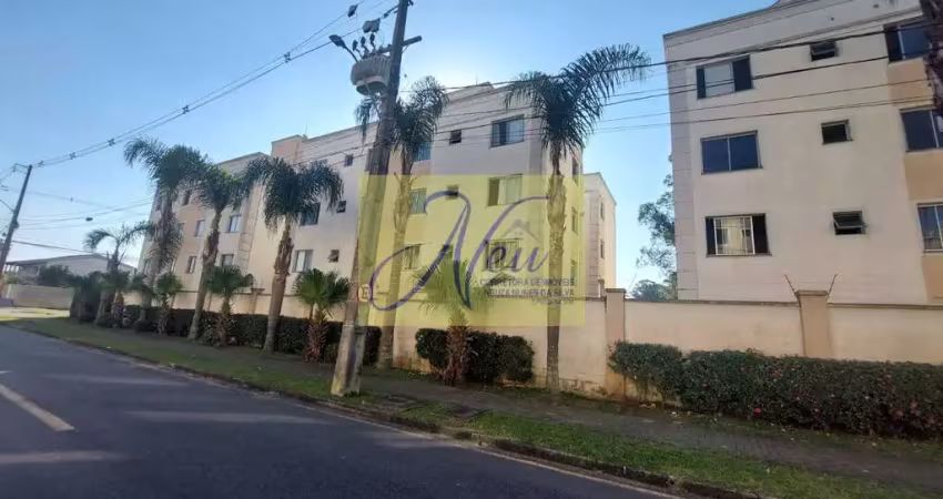 Apartamento com 2 quartos à venda na Rua Desembargador Henrique Nogueira Dorfmund, Cidade Jardim, São José dos Pinhais
