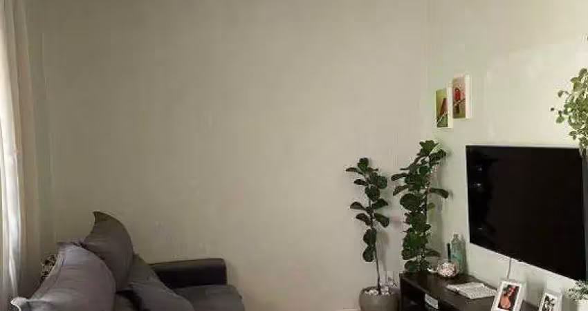 Apartamento à Venda - Vila Joaquim Inácio, Campinas - 85m2  - 2 Quartos