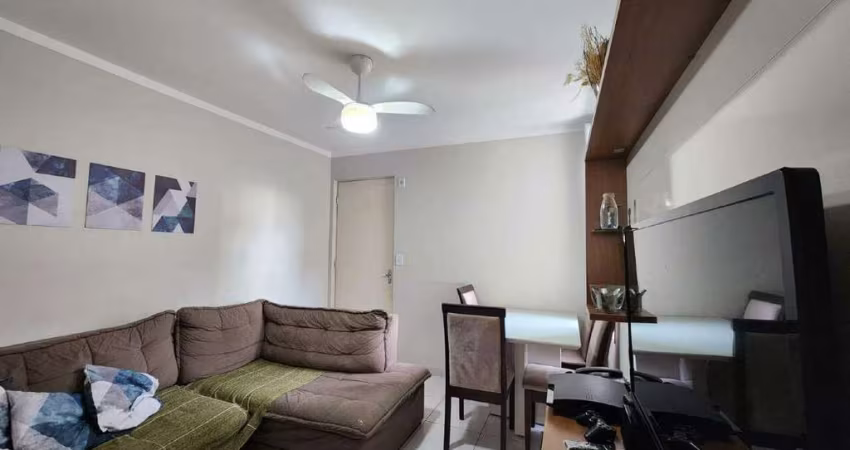 Apartamento à Venda - Jardim Monte Alto, Campinas - 44m2 - Condomínio Parque das Veredas  - 2 Quartos