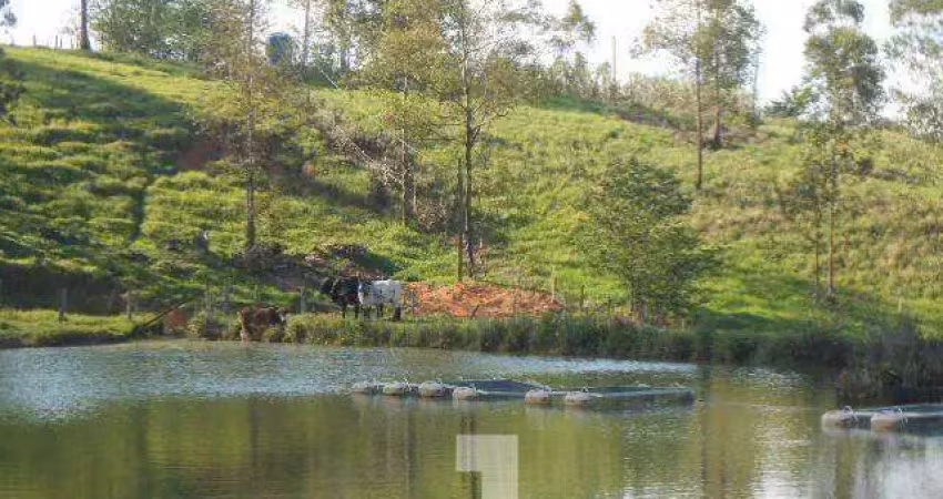 Sítio à Venda - Vila Nova, Amparo - 350m2  - 4 Quartos