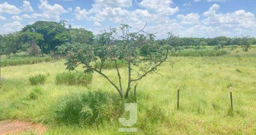 Área à Venda - Barão Geraldo, Campinas - 18.600m2