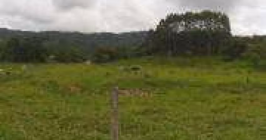 Terreno à Venda - Betel, Paulínia - 2.700m2