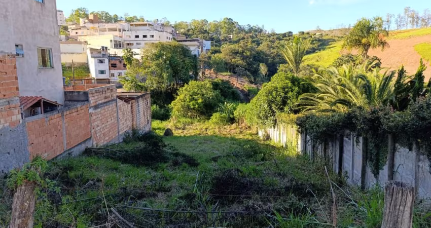 Lote Arcadia