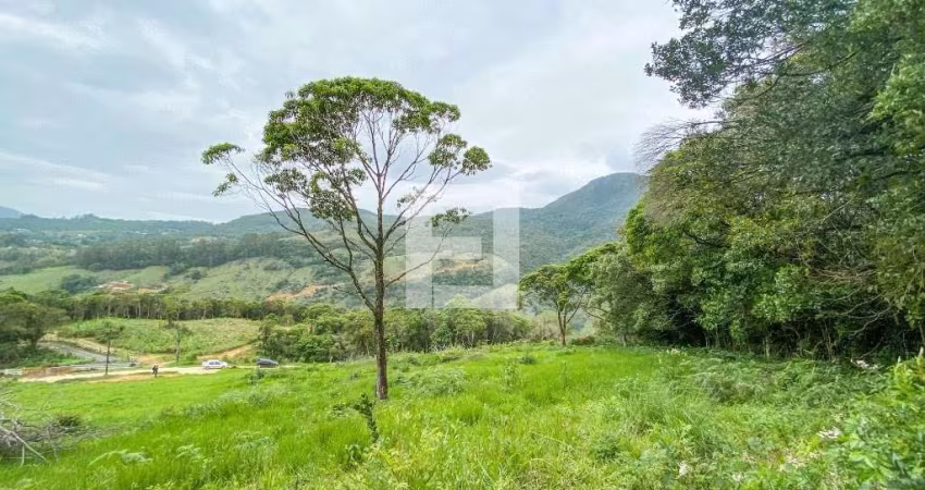 Lote / Terreno em Centro - Santo Amaro da Imperatriz, SC