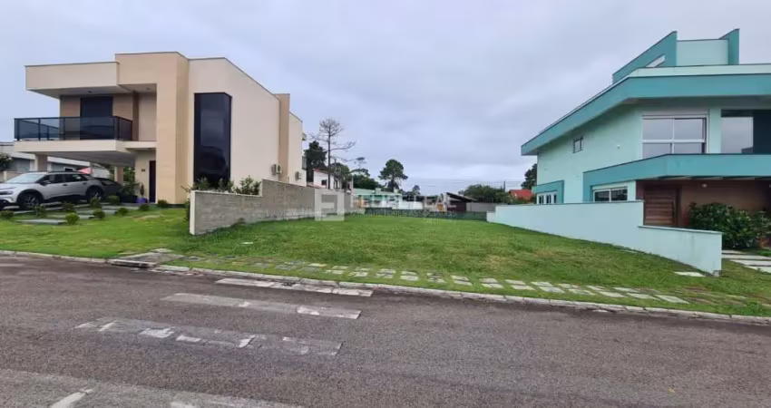 Lote / Terreno em São João do Rio Vermelho - Florianópolis, SC