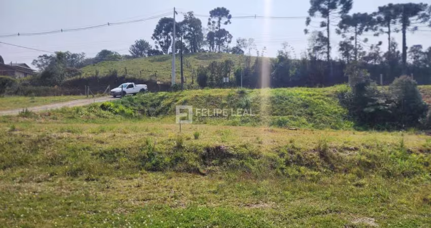 Terreno à venda na Rua Jorge Francisco Bruggemann, 330, Morro Chato, Rancho Queimado