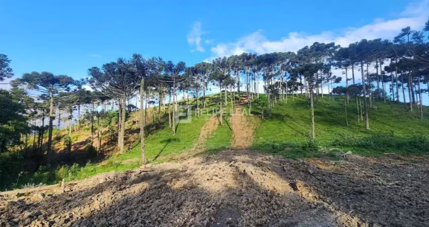 Chácara / sítio à venda na Estrada Geral do Pinheiral, Zona Rural, Rancho Queimado