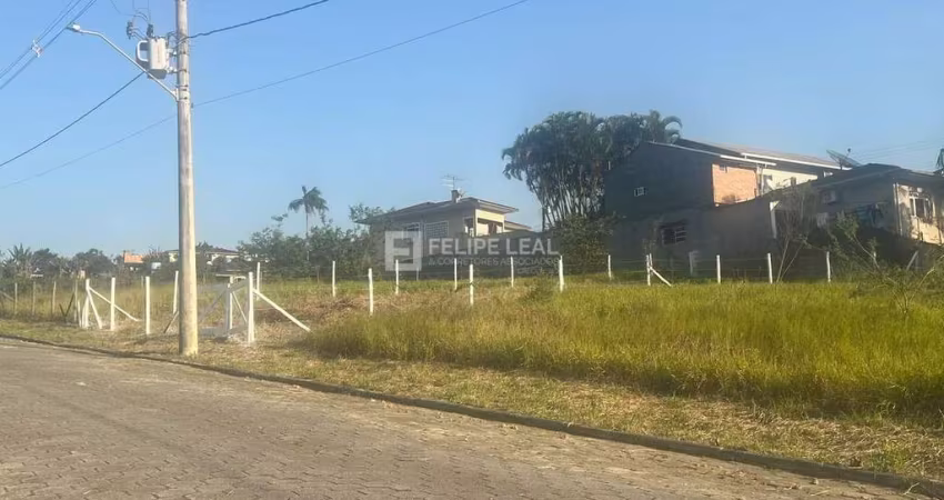 Lote / Terreno em São Francisco  -  Santo Amaro da Imperatriz