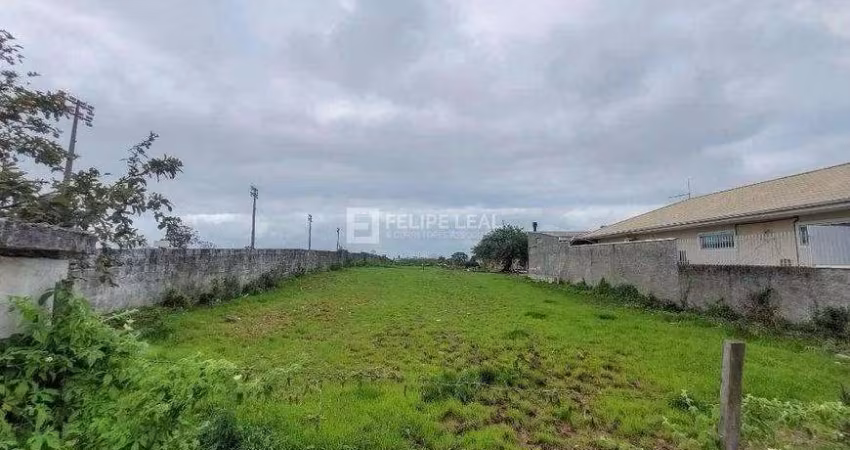 Lote / Terreno em Pacheco  -  Palhoça