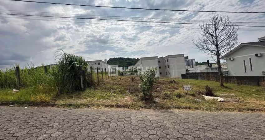 Terreno Loteamento em Areias  -  São José