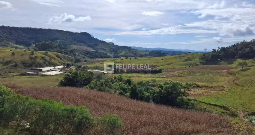 Chácara / sítio à venda na Estrada Geral da Barra Clara, Barra Clara, Angelina