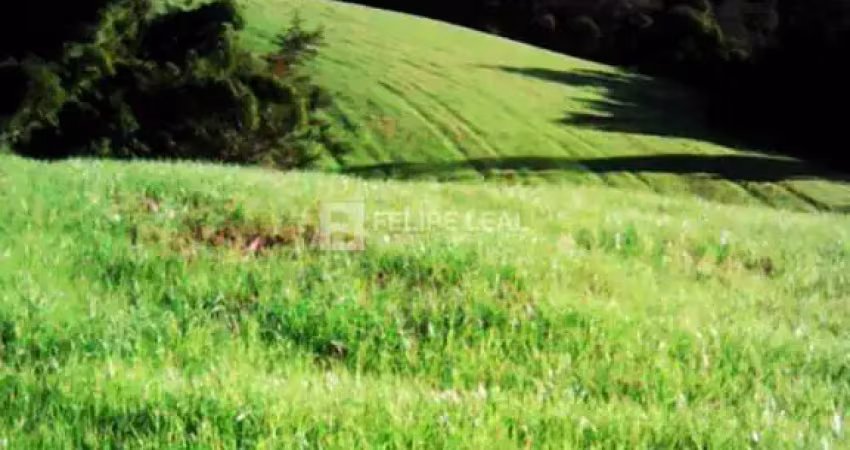 Chácara / sítio à venda na Estrada Geral de Rio Pequeno, Rio Pequeno, Angelina