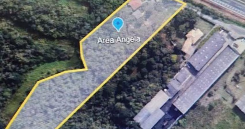 Terreno à venda na Rodovia BR-277, 00, Afonso Pena, São José dos Pinhais