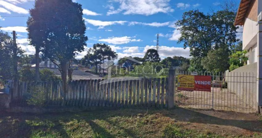 Terreno comercial à venda na Rua Silvano Moreschi, 32, Aristocrata, São José dos Pinhais