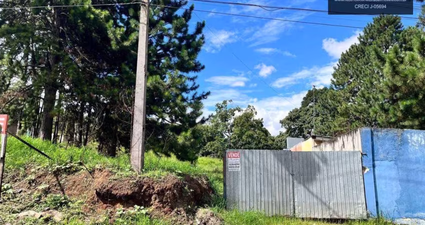 Terreno  Industrial à Venda com 4.250 metros  Cidade Industrial - Curitiba/PR