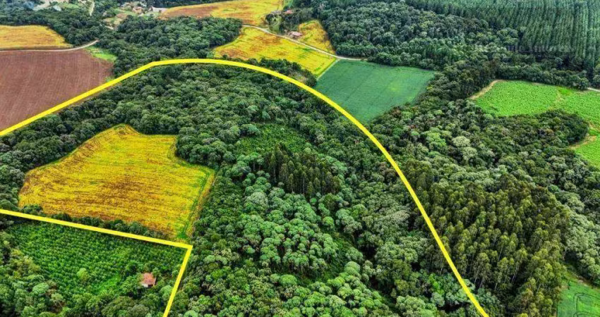 Área à venda, 88 m² por R$ 750.000,00 - Roseira - Rio Negro/PR