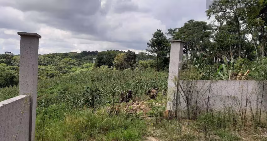 Chácara à venda, 6000 m² por r$ 259.900,00 - imbuial - colombo/pr