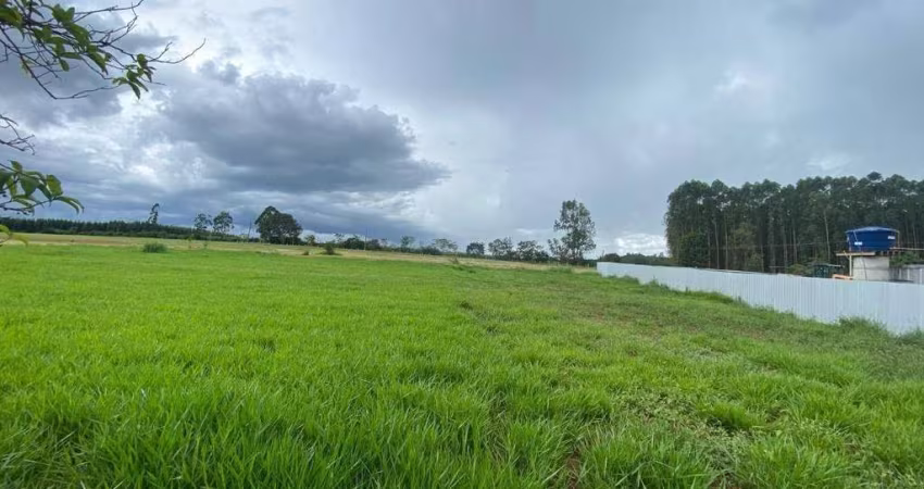Terreno à venda, 2956 m² por R$ 1.300.000,00 - Loteamento Aeródromo Vale Eldorado - Bragança Paulista/SP