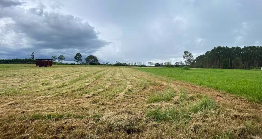 Terreno à venda, 1250 m² por R$ 600.000,00 - Loteamento Aeródromo Vale Eldorado - Bragança Paulista/SP