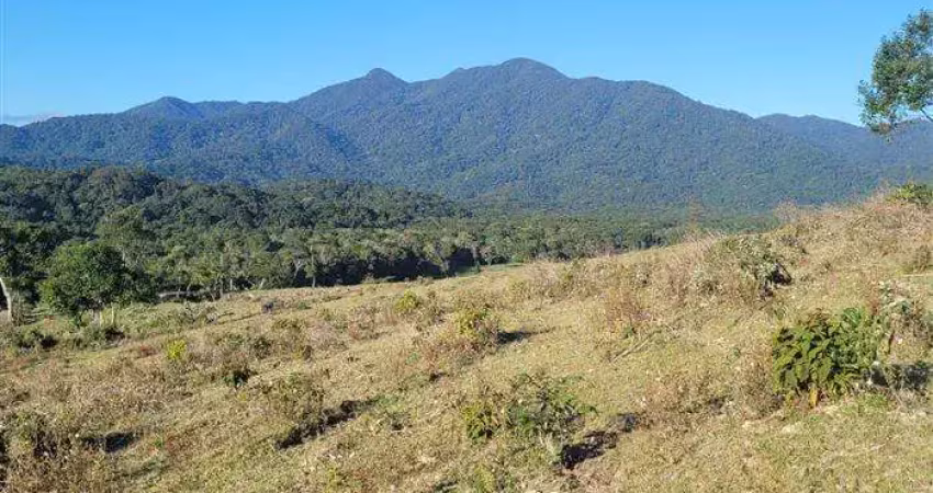 Fazendas para venda em cananeia no bairro itapitangui
