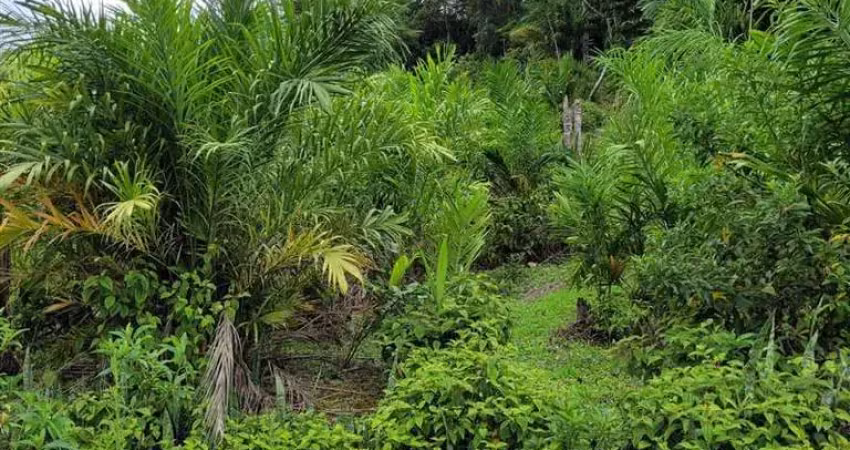 Terras para compensação ambiental para venda em eldorado no bairro batatal