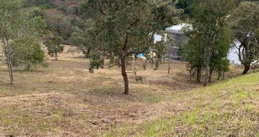 Terreno Reserva Ibirapitanga à venda, com projeto aprovado, Santa Isabel, SP, 800m², fundo para res