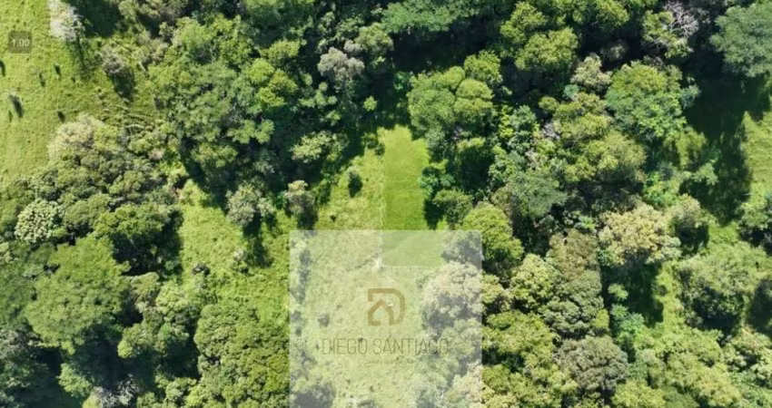 Terreno à venda - apenas 3500 metros da Praia do Siriú em Garopaba/SC. : 6.980,00 m² de área para seu empreendimento ou residência de campo