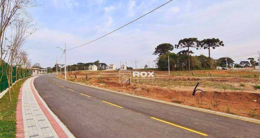 Terreno à venda, 245 m² por R$ 238.000,00 - Costeira - São José dos Pinhais/PR