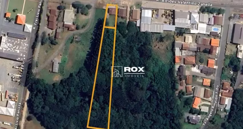 Terreno à venda, 4132 m² por R$ 1.950.000 - Rondinha, Campo Largo/PR
