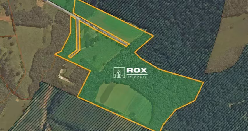 Terreno industrial à venda, 154.483 m² por r$ 16.480.000 - zacarias, são josé dos pinhais/pr