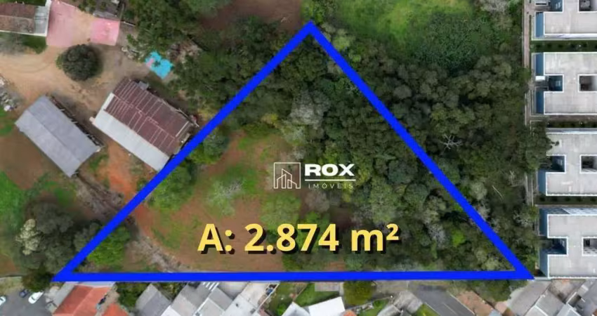 Terreno à venda com 2.874 m² por r$ 2.240.000 - araucária/pr