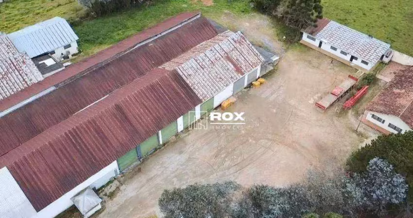 Barracão à venda, 4000 m² por r$ 17.000.000 - braga, são josé dos pinhais/pr