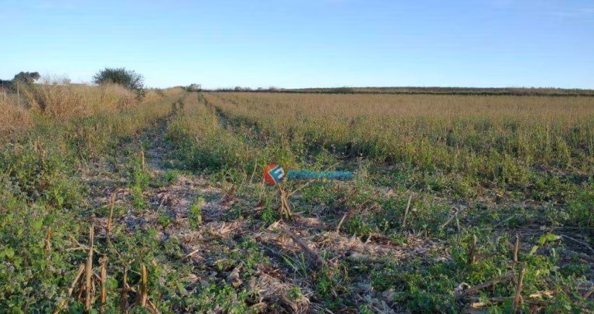Área à venda, 20000 m² por R$ 1.200.000,00 - Chácara Cruzeiro do Sul - Sumaré/SP