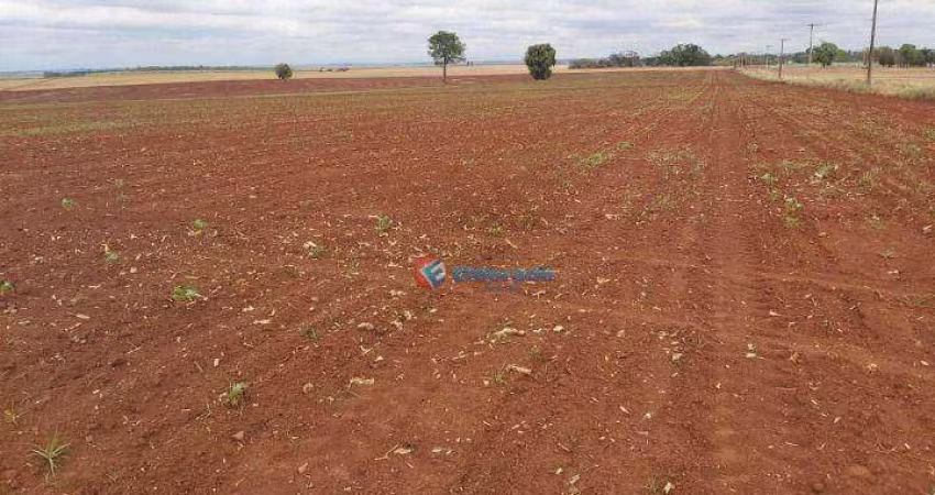 Área à venda, 210.000 m² com topografia totalmente plana - Fazenda Velha - Nova Odessa/SP