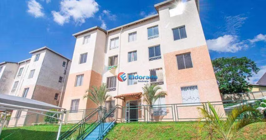 Apartamento com 3 dormitórios à venda, 55 m² por R$ 250.000,00 - Vila São Francisco - Hortolândia/SP