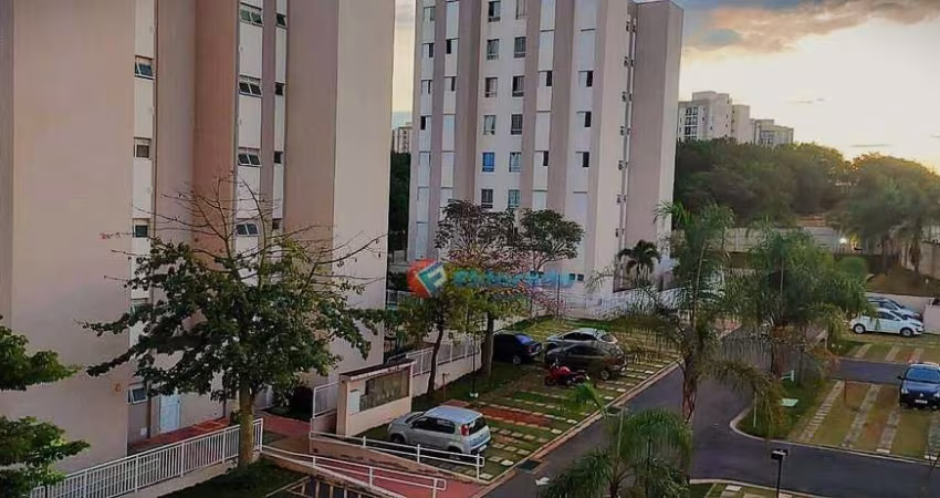 Apartamento à venda - Jardim Dulce (Nova Veneza) - Sumaré/SP