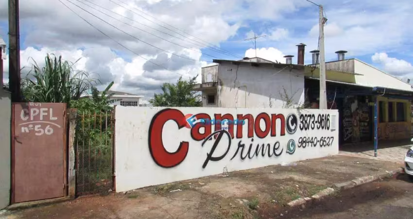 Terreno para alugar - jardim são carlos - sumaré/sp