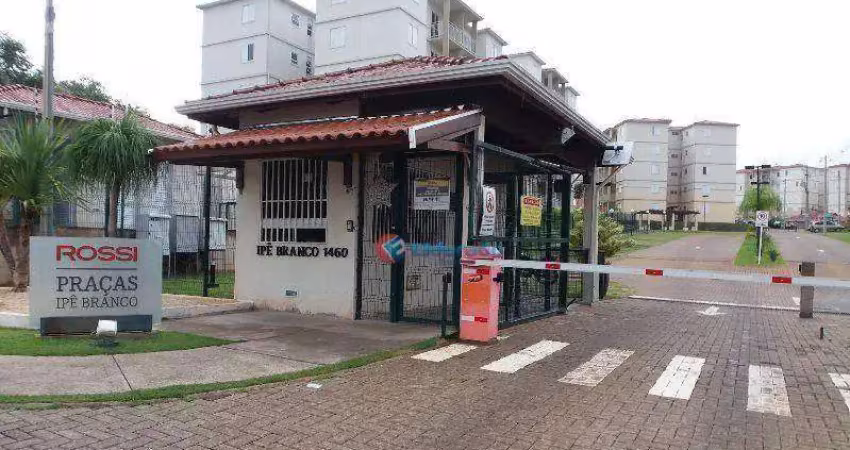 Apartamento com 3 quartos à venda - parque euclides miranda - sumaré/sp