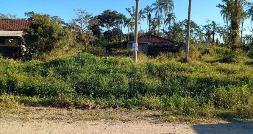 Terreno à venda, 360 m² - ubatuba - são francisco do sul/sc