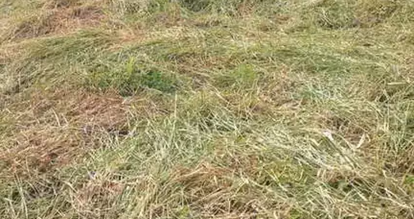 Lote/terreno à venda, fazenda hotel são bento do recreio - valinhos