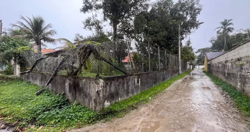 Terreno para Venda em São Sebastião, Boraceia