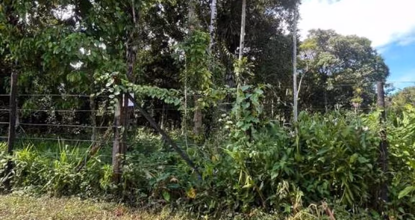Terreno para Venda em São Sebastião, Boraceia