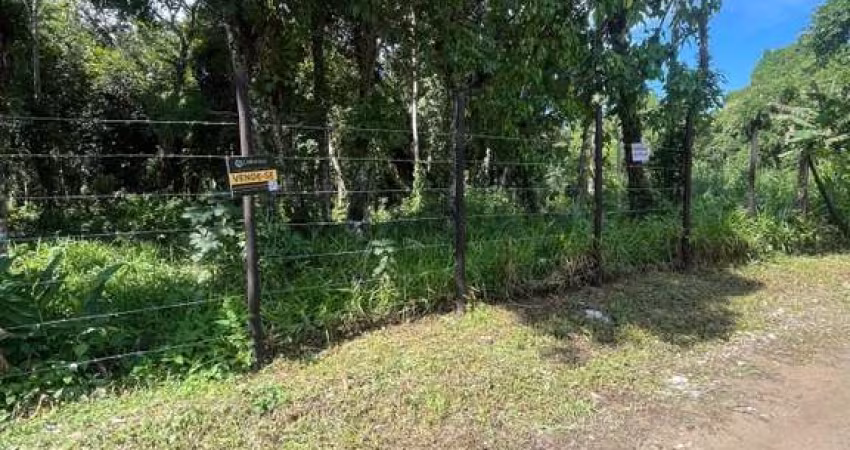Terreno para Venda em São Sebastião, Boraceia
