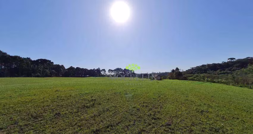 Terreno à venda, 84700 m² por r$ 1.700.000,00 - colônia santa maria - piraquara/pr