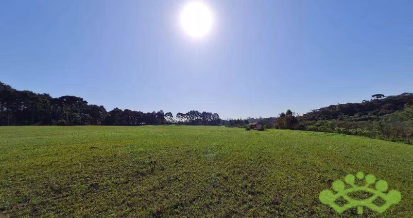 Terreno à venda, 84700 m² por R$ 1.700.000,00 - Colônia Santa Maria - Piraquara/PR