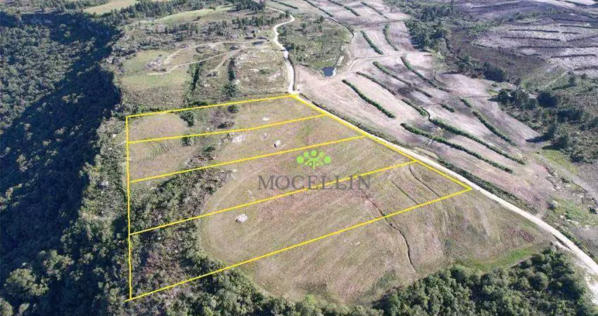 Terreno à venda em São Luiz do Purunã, Balsa Nova 