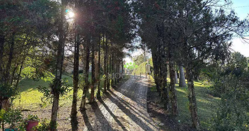Chácara com 4 dormitórios à venda, 32000 m² por r$ 2.600.000,00 - jardim santa nely - campo largo/pr
