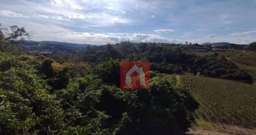 Área à venda, 4 m² por R$ 2.130.000 - Vale dos Vinhedos - Bento Gonçalves/RS