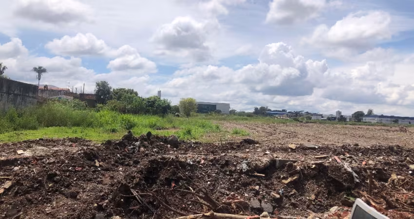 ÁREA EM PINHAIS PR
