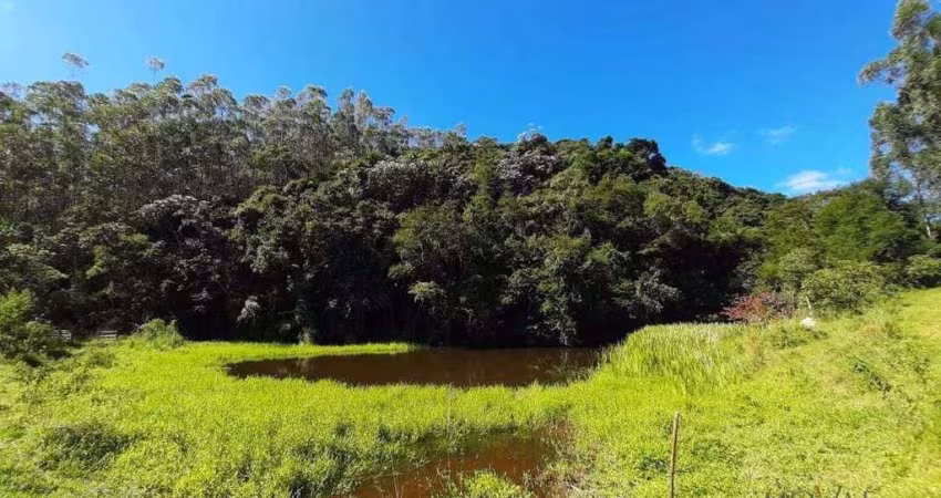 Sítio à venda, 350000 m² por R$ 2.050.000,00 - Santa Joana - Santa Branca/SP
